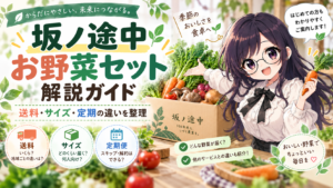 坂ノ途中のお野菜セット解説ガイド。送料・サイズ・定期便の違いを整理